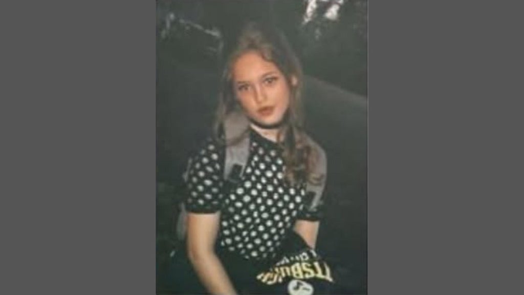 FBI joins search for Georgia 16-year-old girl who has been missing for over a week — Duluth Community news